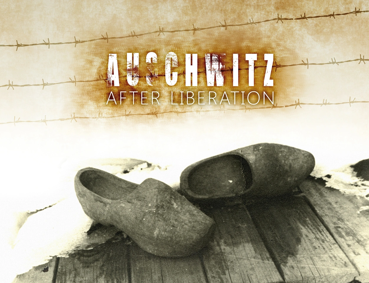 Auschwitz_po_wyzwoleniu_OKLADKA ENG