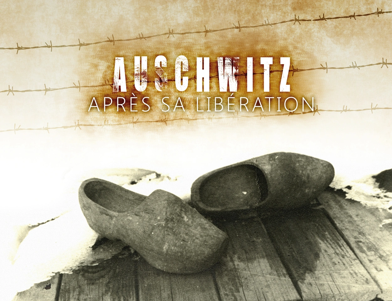 Auschwitz_po_wyzwoleniu_OKLADKA FR