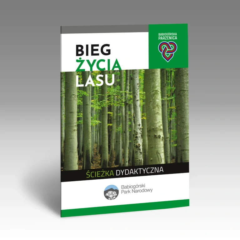 BgPN bieg zycia lasu przewodnik