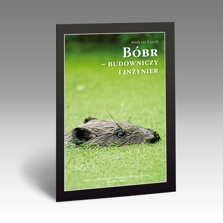 FWIE bobr budowniczy i inzynier