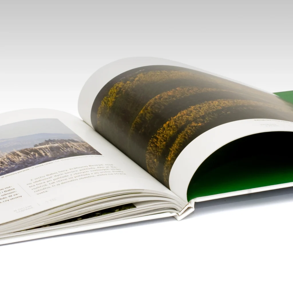 w zieleni skapana BgPN ksiazka a