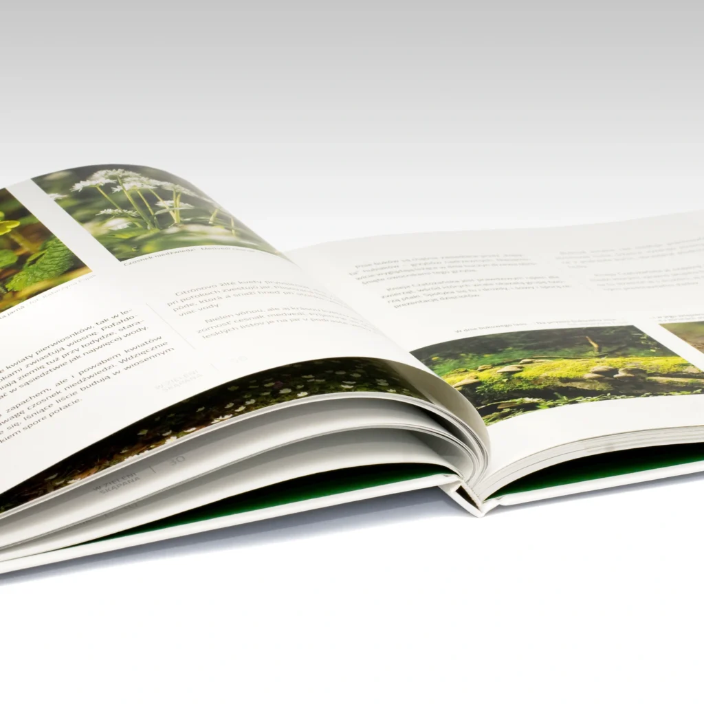 w zieleni skapana BgPN ksiazka a1