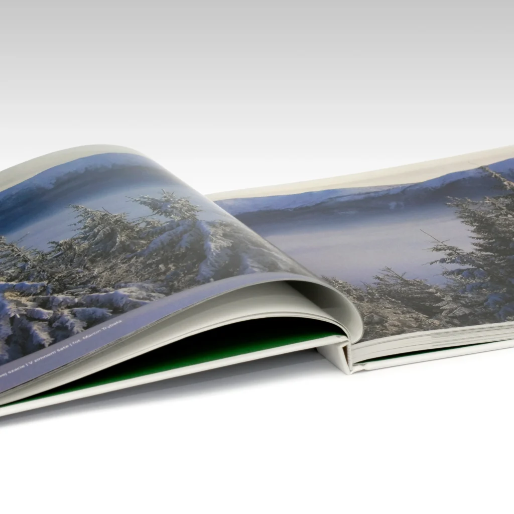 w zieleni skapana BgPN ksiazka a3